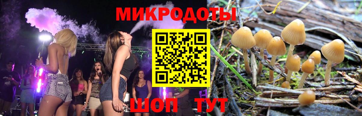 Йошкар-Ола  Галлюциногенные грибы GOLDEN TEACHER  Вход с VPN 